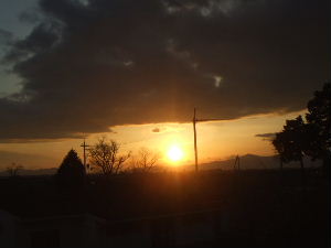 f0005081_1371138.jpg