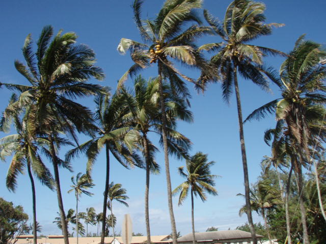 e0125483_1221488.jpg
