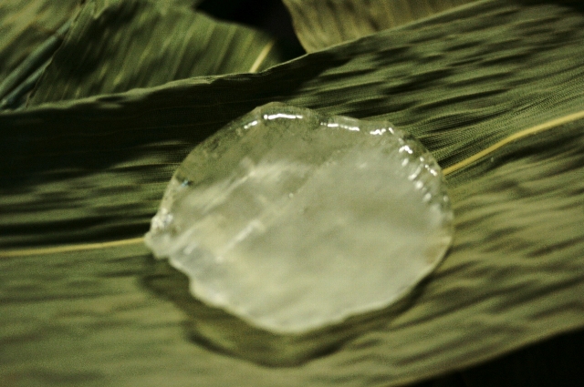 d0133693_1475270.jpg