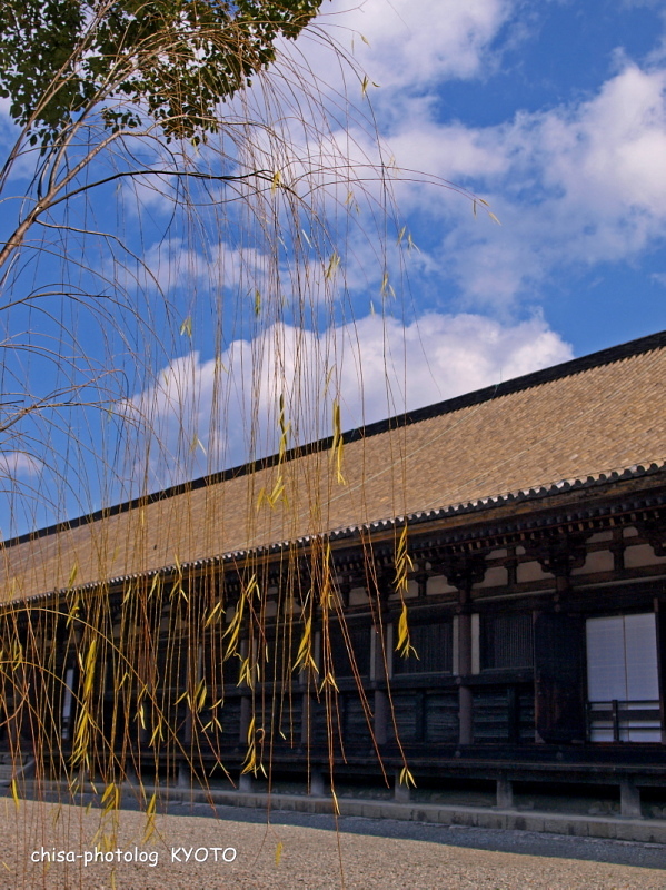 c0158998_120813.jpg