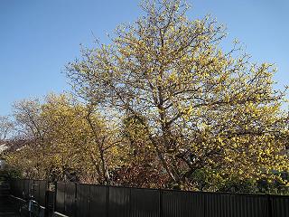 d0090001_23251942.jpg