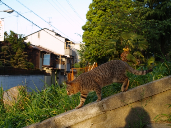 c0136217_9115519.jpg