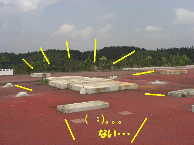 f0182121_7563615.jpg