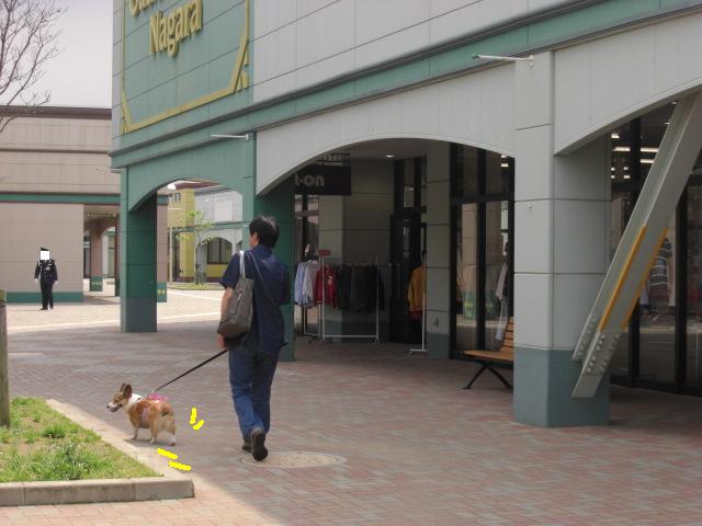 f0182121_882876.jpg