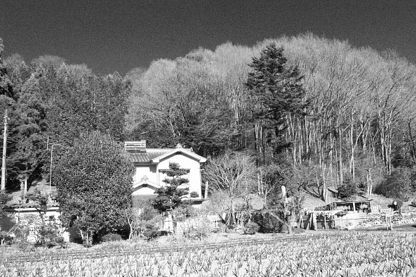 c0109827_846928.jpg
