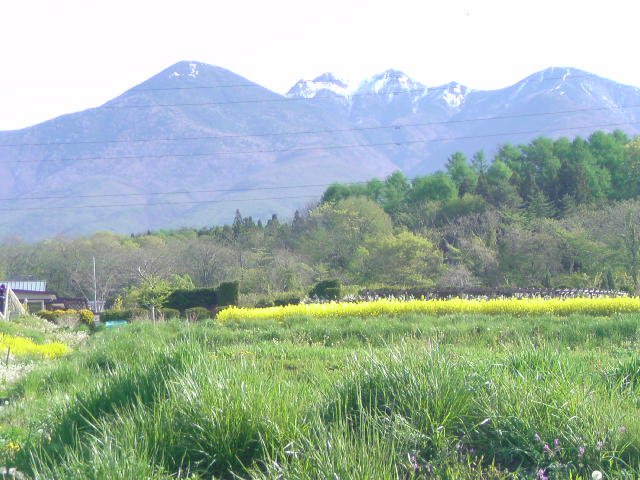 e0016828_2205269.jpg