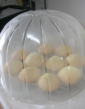 f0150629_23533399.jpg