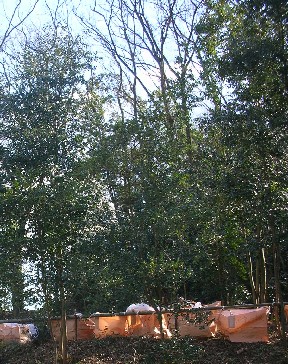 f0150629_23541764.jpg