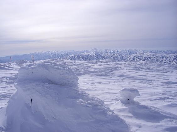 f0118332_22572730.jpg