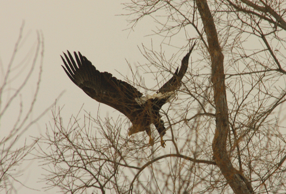 d0069235_23181860.gif