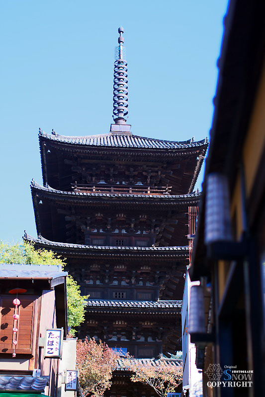 f0005935_21165877.jpg