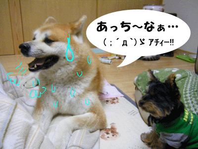 f0008935_0144326.gif