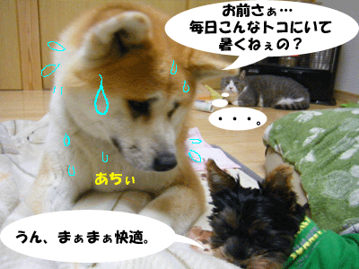 f0008935_1153485.gif