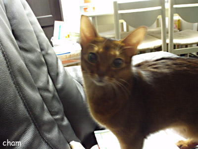 c0132438_2255525.jpg