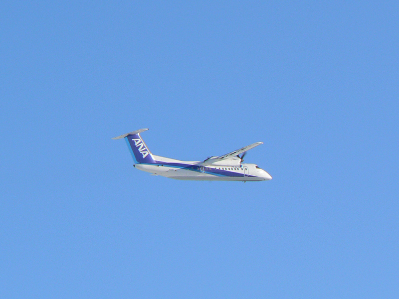 b0032140_21202053.jpg