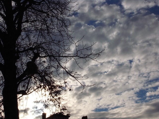 a0087341_9405928.jpg