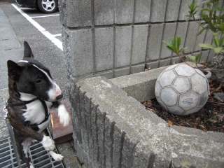 f0094843_2127926.jpg