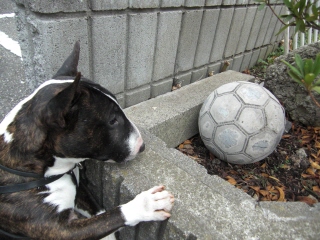 f0094843_21324427.jpg
