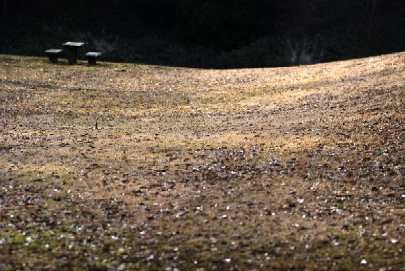 e0009147_9102362.jpg