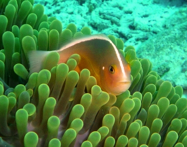 e0027447_0135971.jpg
