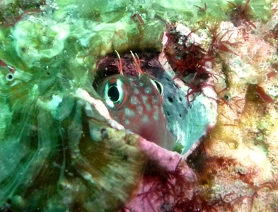e0027447_0154496.jpg