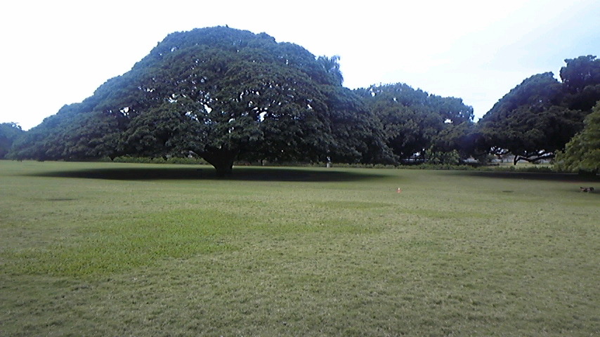 f0150047_19425498.jpg