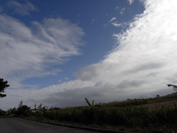 b0049152_1942641.jpg