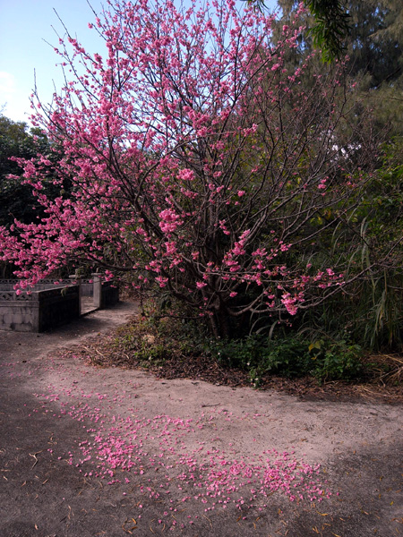 b0049152_195435.jpg