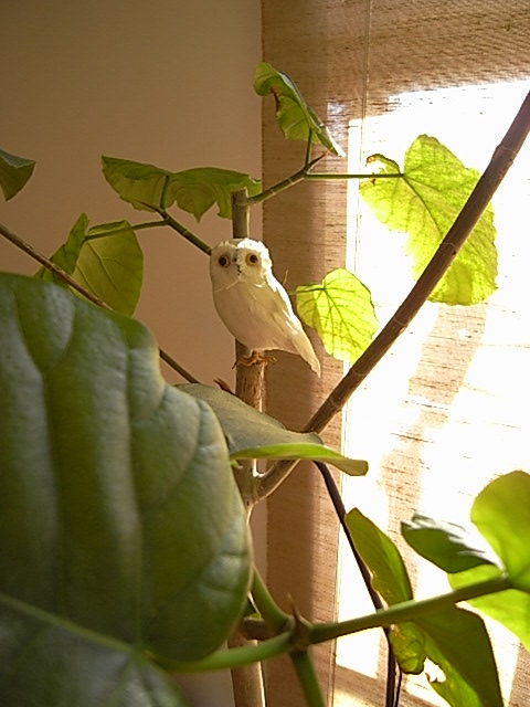 c0187166_192514100.jpg