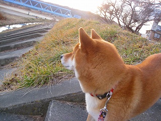 e0160568_1661481.jpg