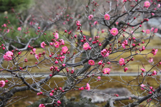 b0055171_22134664.jpg