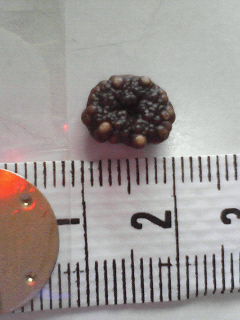 e0004173_9332254.jpg