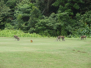 b0086476_21253570.jpg