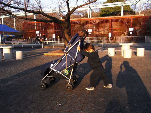 a0093282_9561060.jpg