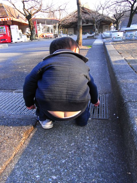 a0093282_957631.jpg
