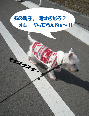 e0066883_22104249.gif