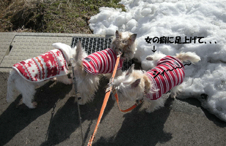 e0066883_22118100.gif