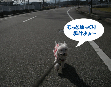 e0066883_228059.gif