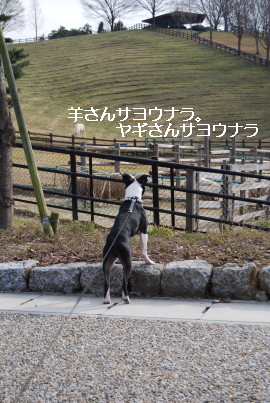 c0092787_17152622.jpg