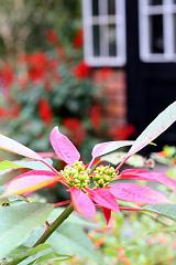 b0144988_23521315.jpg