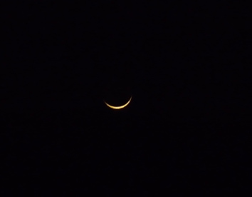 a0064291_10394337.jpg