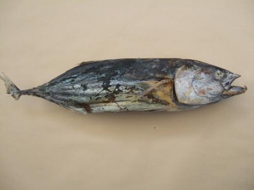 f0013998_14324840.jpg