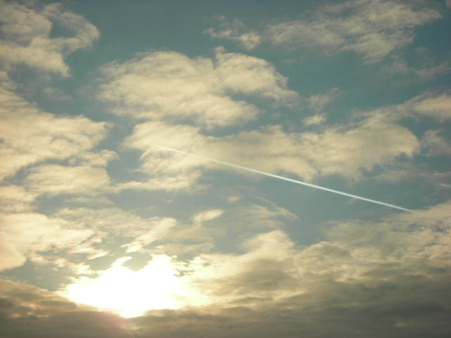 e0160905_7374334.jpg