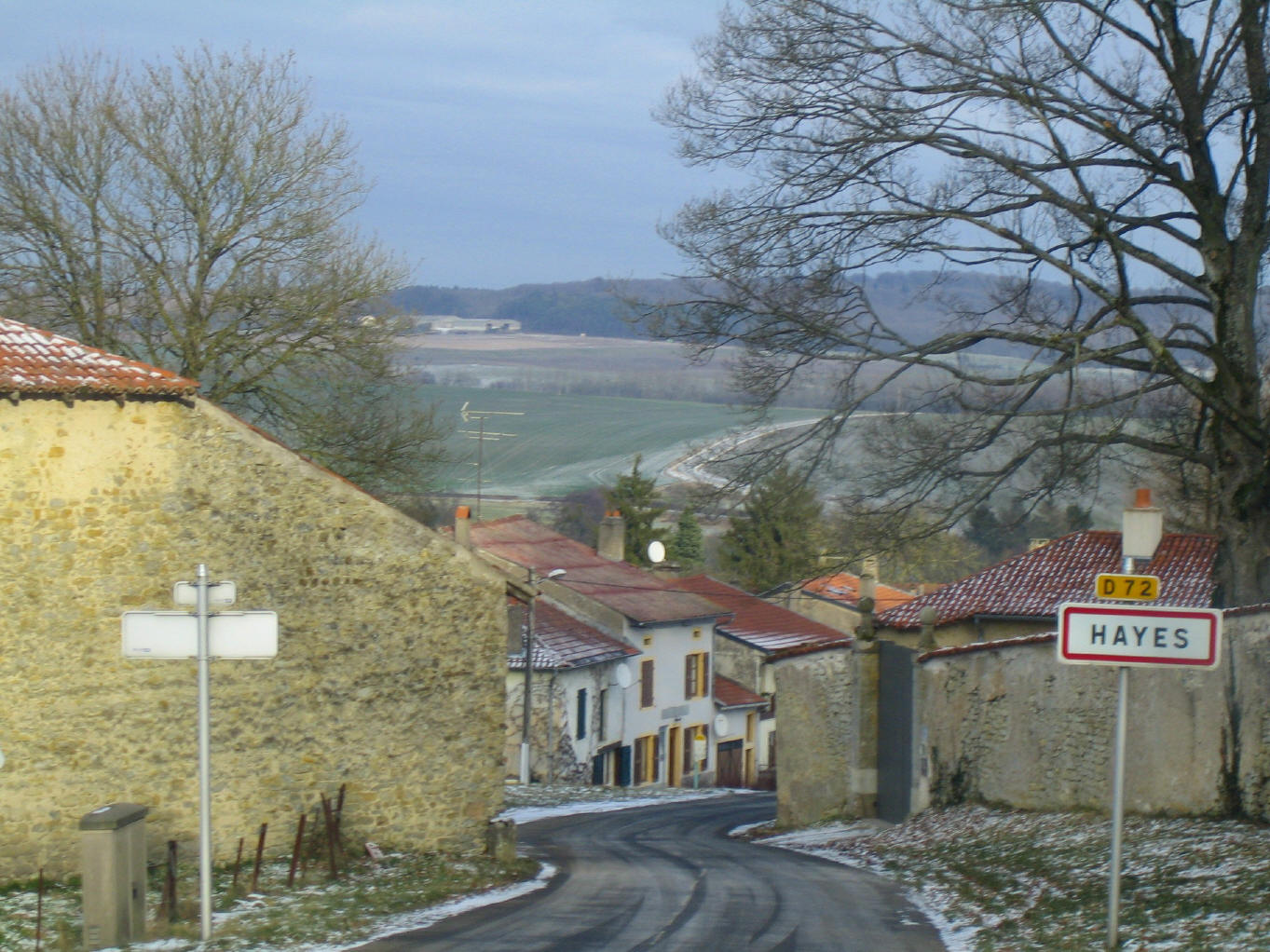 d0135907_2053229.jpg