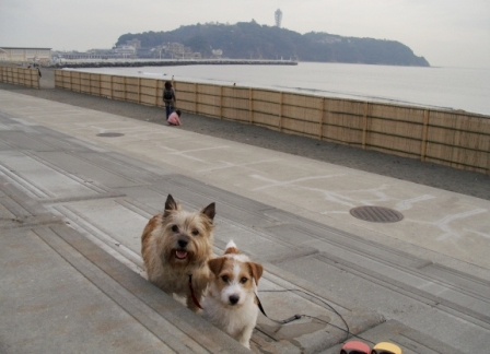 e0078510_0243730.jpg