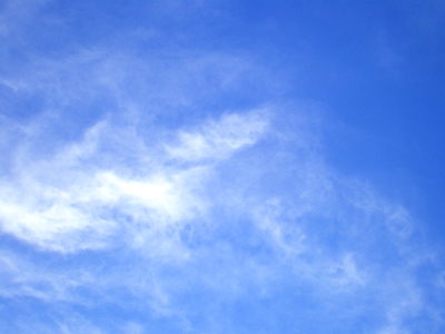 e0117613_1159104.jpg