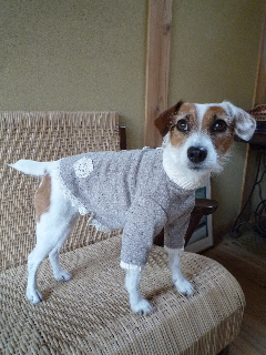 c0132714_1473583.jpg