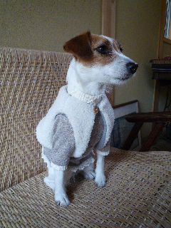 c0132714_149285.jpg