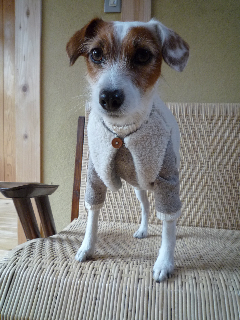 c0132714_149379.jpg
