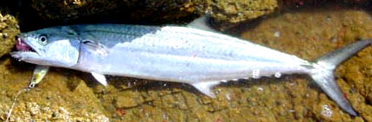 e0125014_13262615.jpg